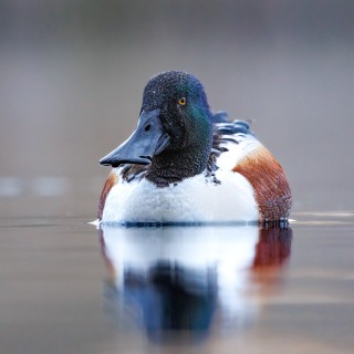 20250501-IMG_5792-3_crop_2048