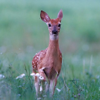 20250717-IMG_0123-2_crop_2048