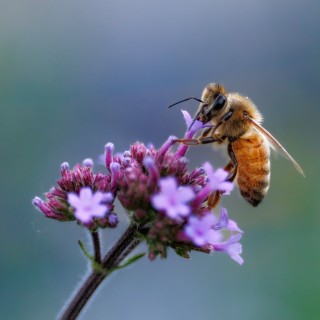 20250724-IMG_0864_crop_2048